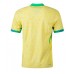 Brasilien Heimtrikot Copa America 2024 Kurzarm